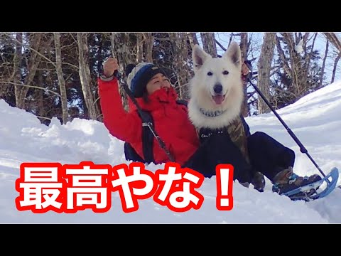 愛犬と初スノーシューツアー！絶景&絶叫そして大爆笑！