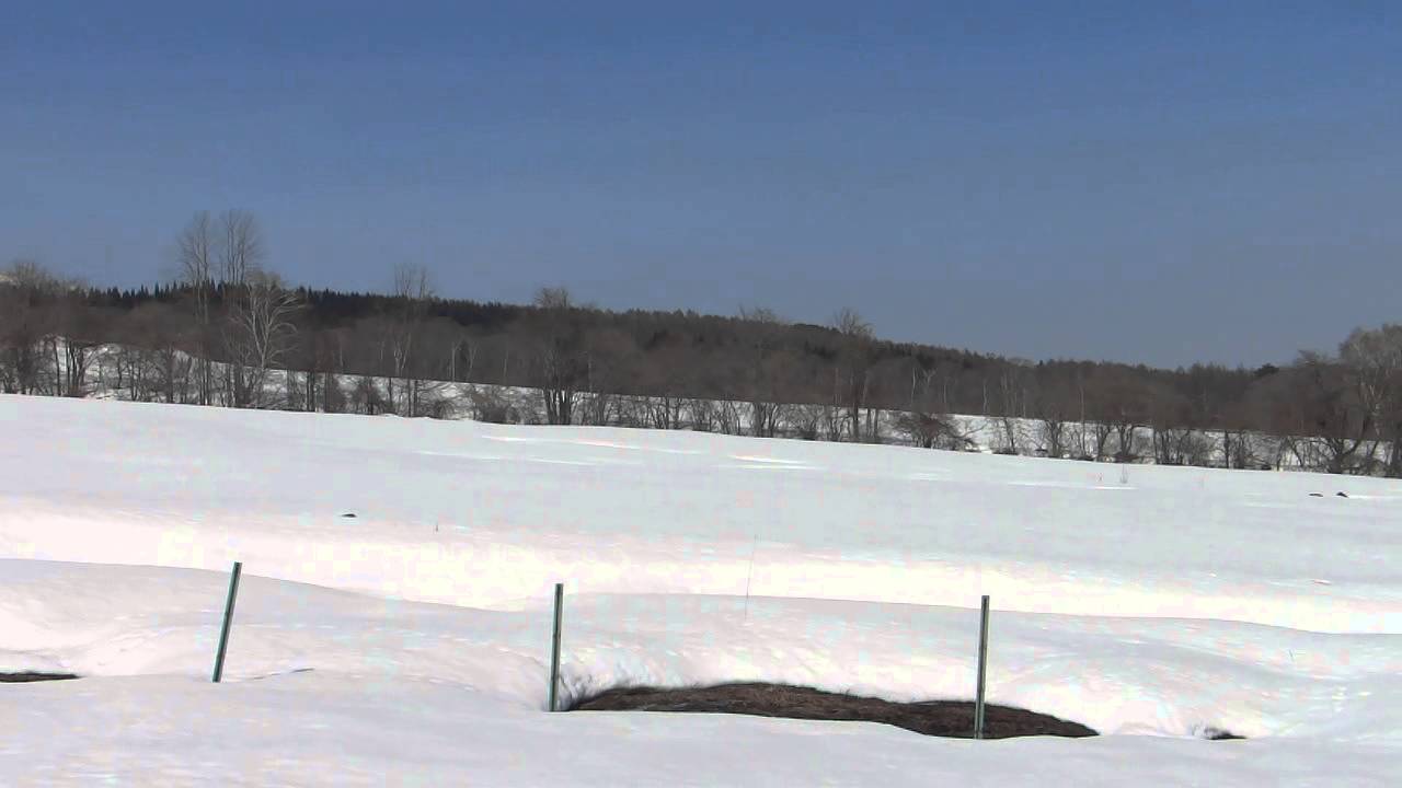 春の雪をスノーシューで歩く