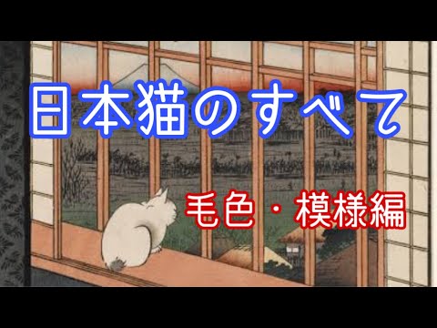 日本猫のすべて　～毛色・模様編