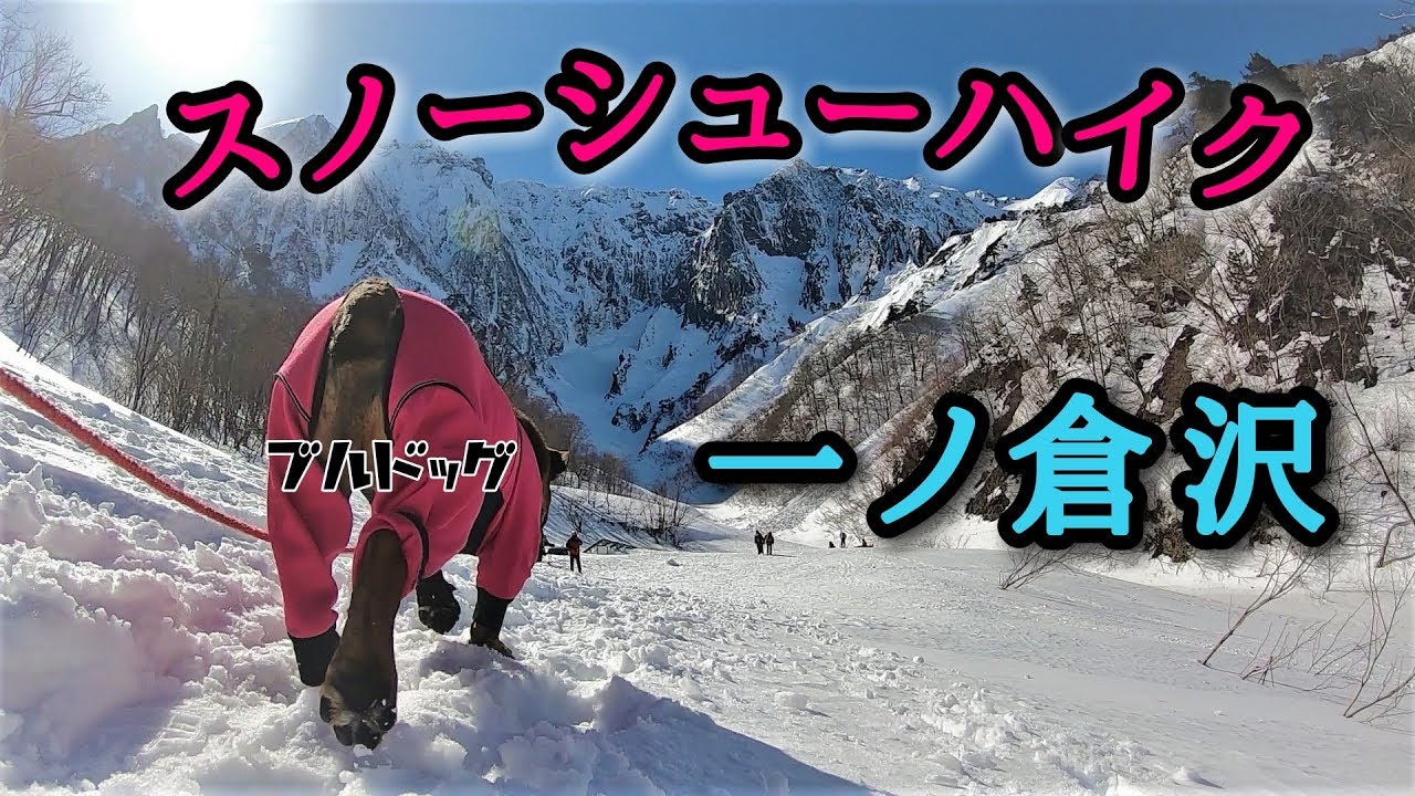 愛犬と一ノ倉沢スノーシューハイク＆ドローン空撮