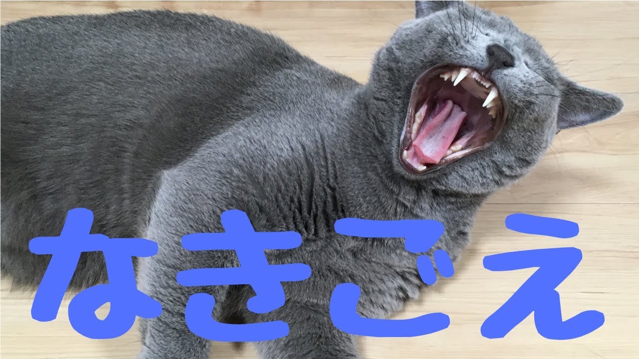 【総集編】ロシアンブルーの鳴く時をまとめてみました。