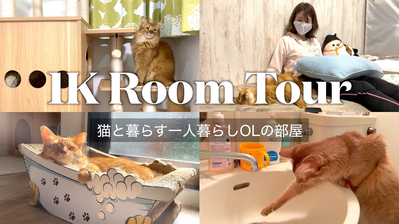 ワンルームで猫を飼う一人暮らし女子のルームツアー/1k room tour with cats