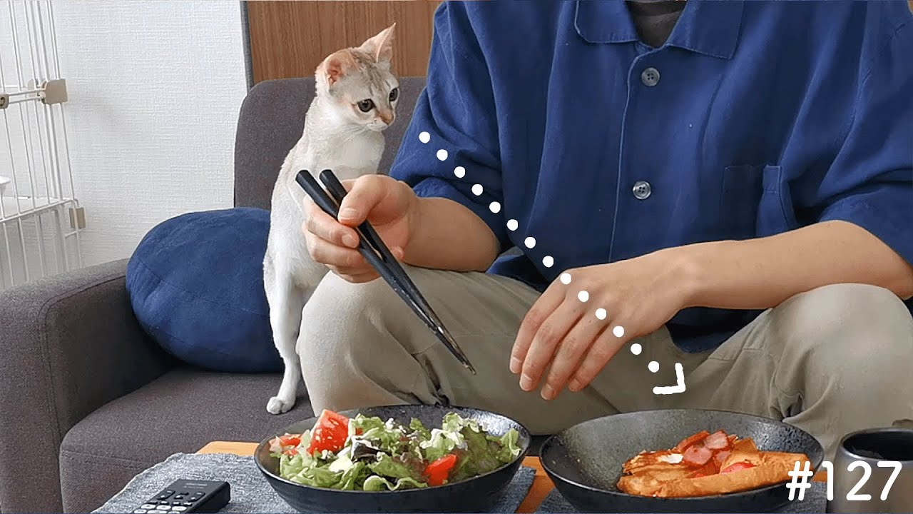 食事中に現れたどろぼう猫がこちらです！【シンガプーラ】