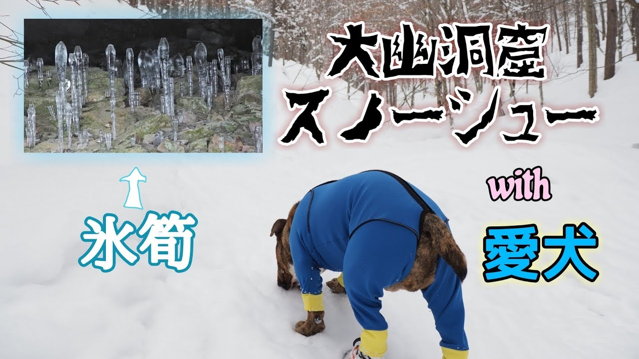 みなかみスノーシュー【大幽洞窟の氷筍】 Snowshoe