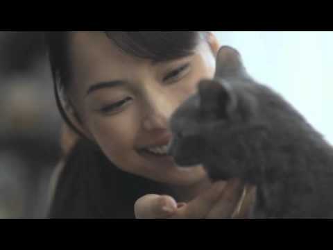 シーバ　CM　ロシアンブルーの可愛い仕草