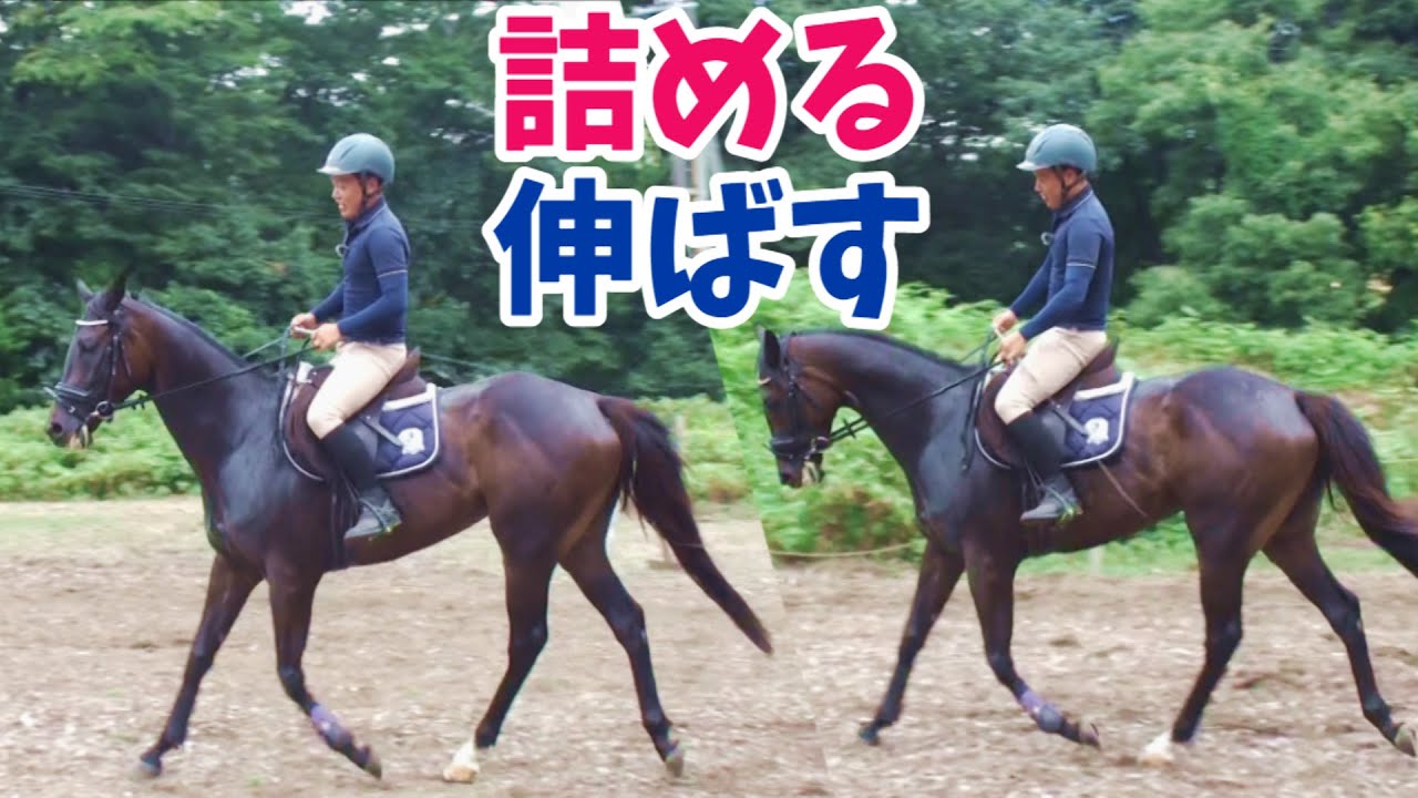 歩度(ほど)を詰める・歩度を伸ばすとは？