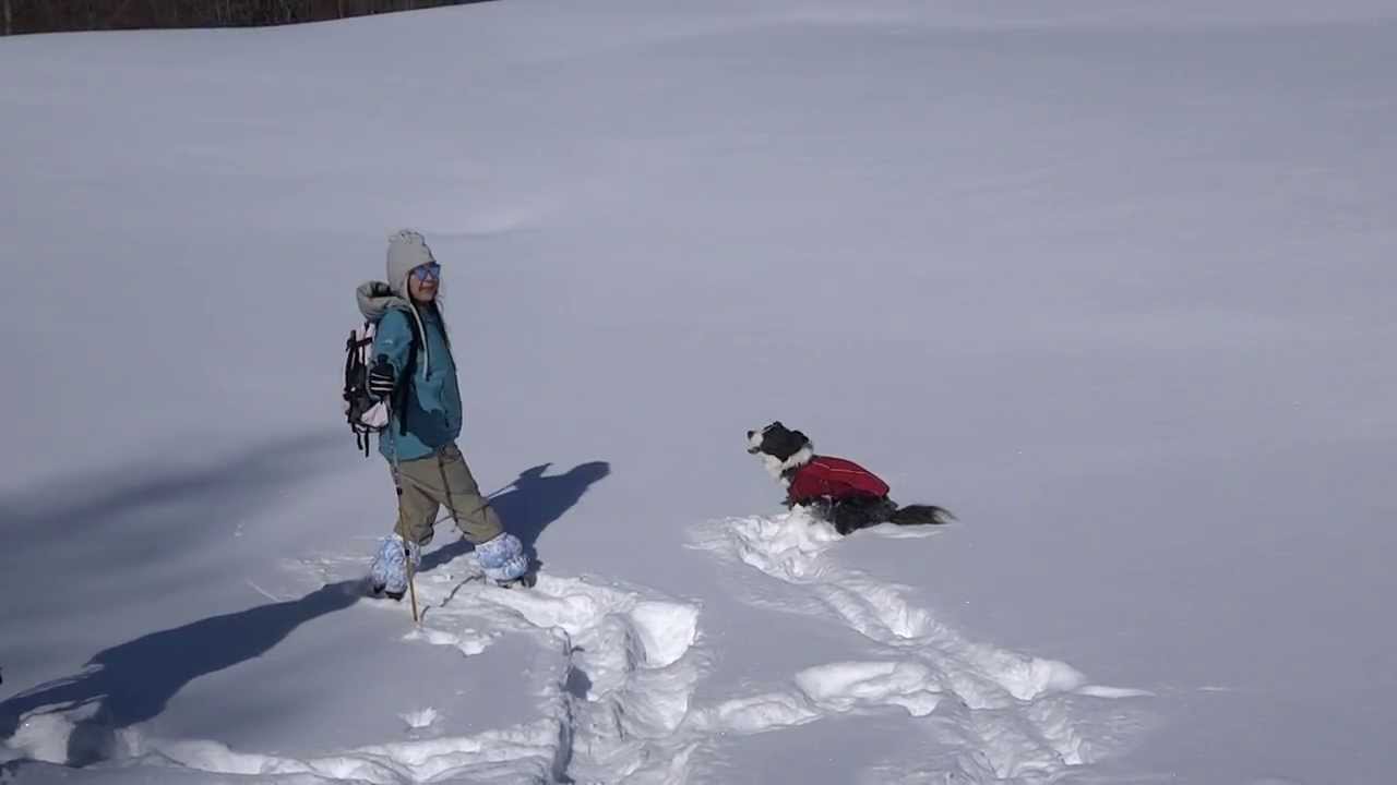 スノーシュー＠鬼怒川1
