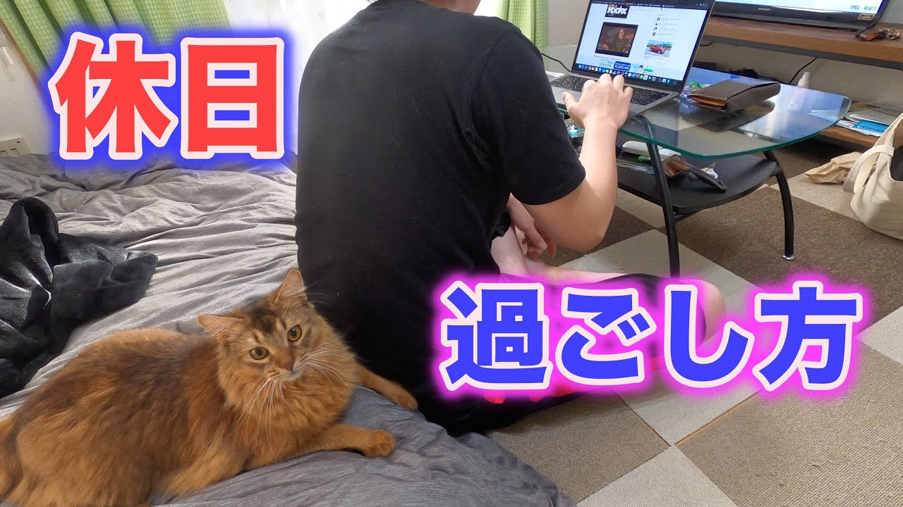ソマリの飼い主の休日の過ごし方【ソマリ】