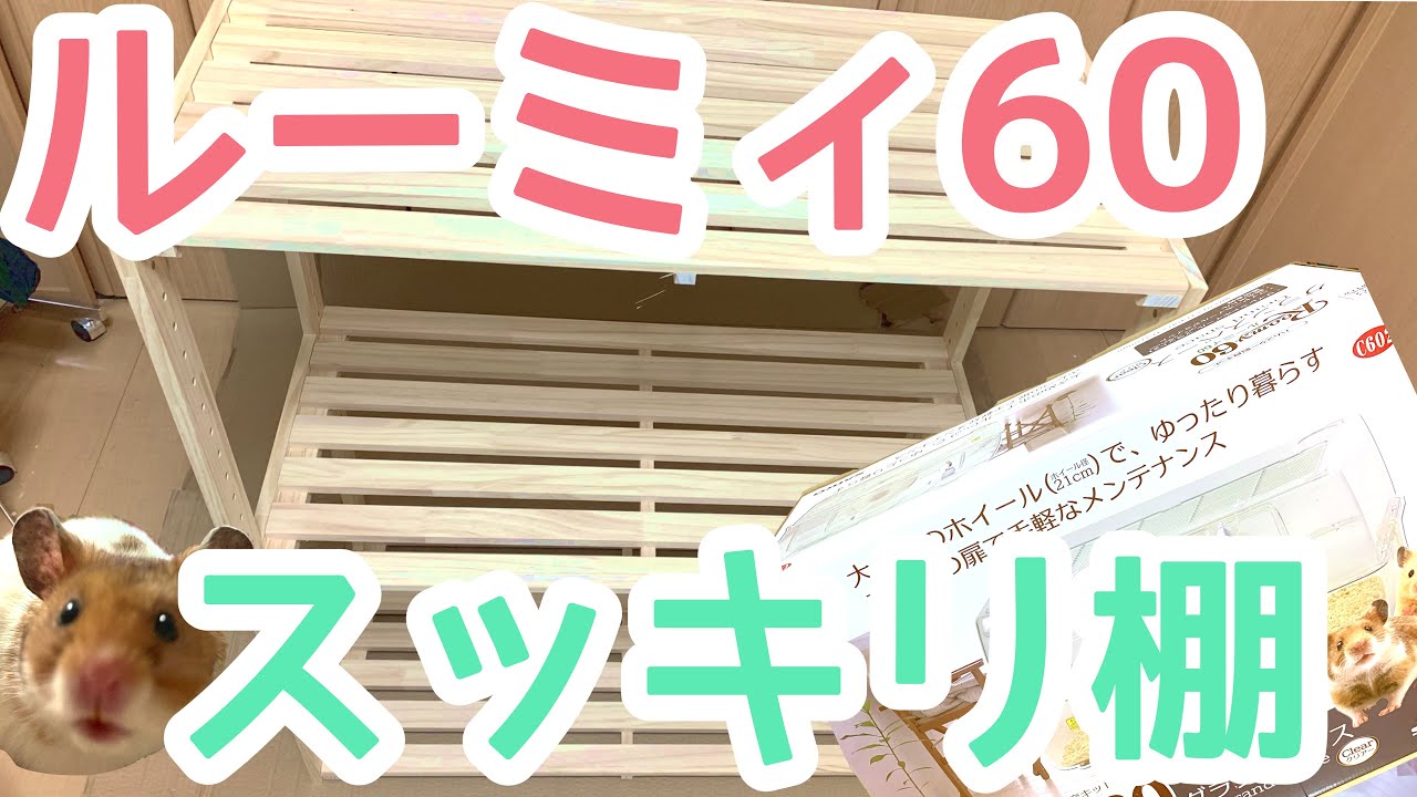 かわいいハムスター達の「ルーミィ60」をスッキリ収納できる棚 ニトリのマンクス買いました【へけグラハムスター日記】