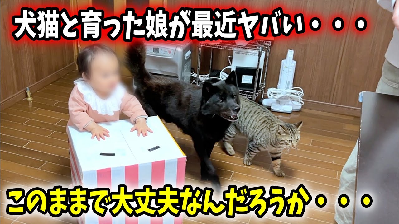 犬と猫と一緒に育った娘が、とうとうこうなってしまいました