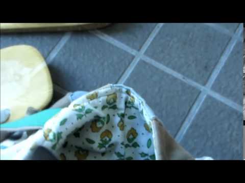 コラット猫（ミックス）0.5歳-08・24-9・20