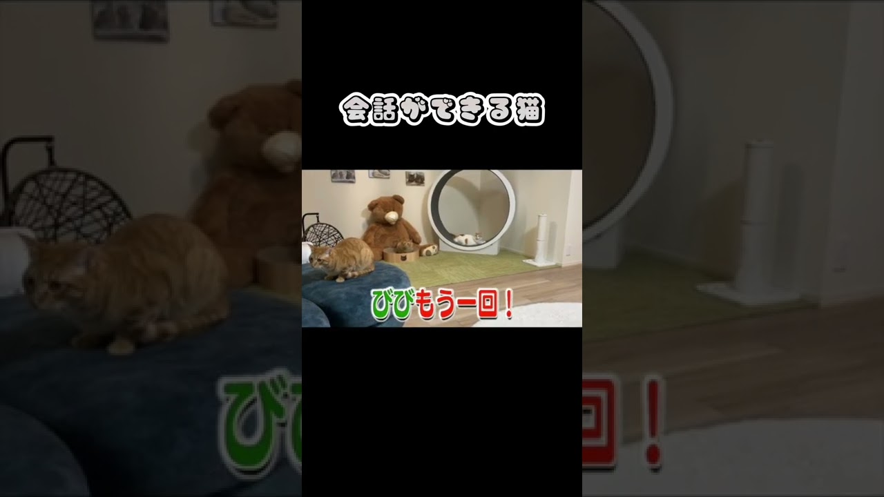 日本語理解しすぎなww　#shorts