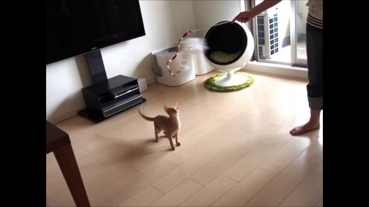 マイ ムービー2