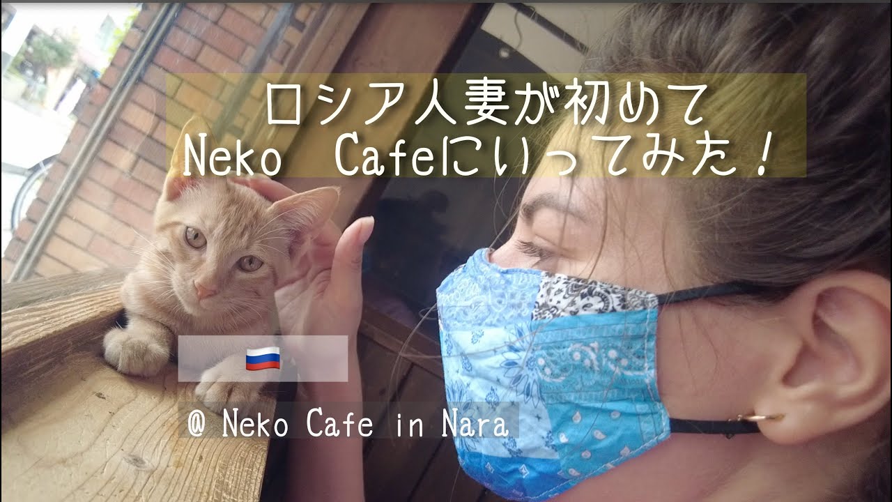 【国際結婚】外国人の奥さんが初めて日本のネコカフェに行った結果。〜日本のネコが大好きになった。〜　#国際結婚 #猫カフェ  #外国人