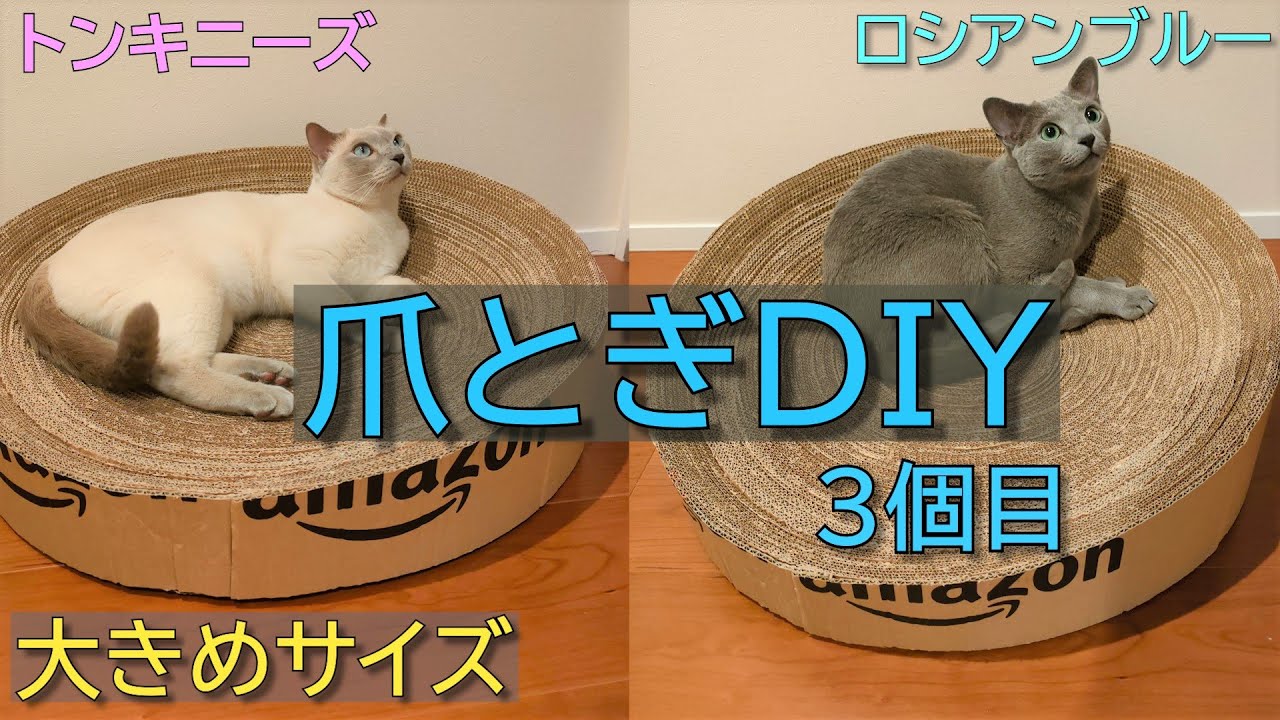 【最終形】【ロシアンブルー×トンキニーズ】第三弾 DIY爪とぎ（#48）