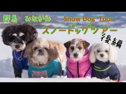 【群馬みなかみ　大峰山　スノーシュードッグツアー後編❄️/Snow Dog Tour 】