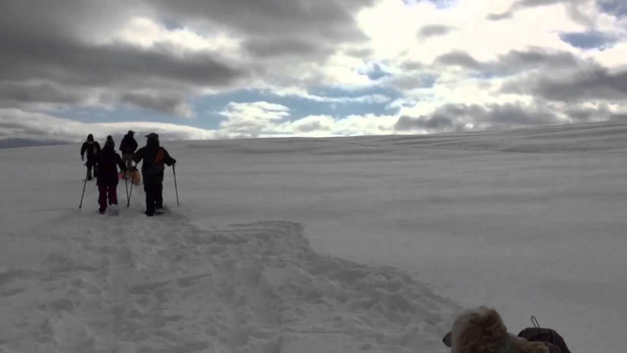 スノーシュー３