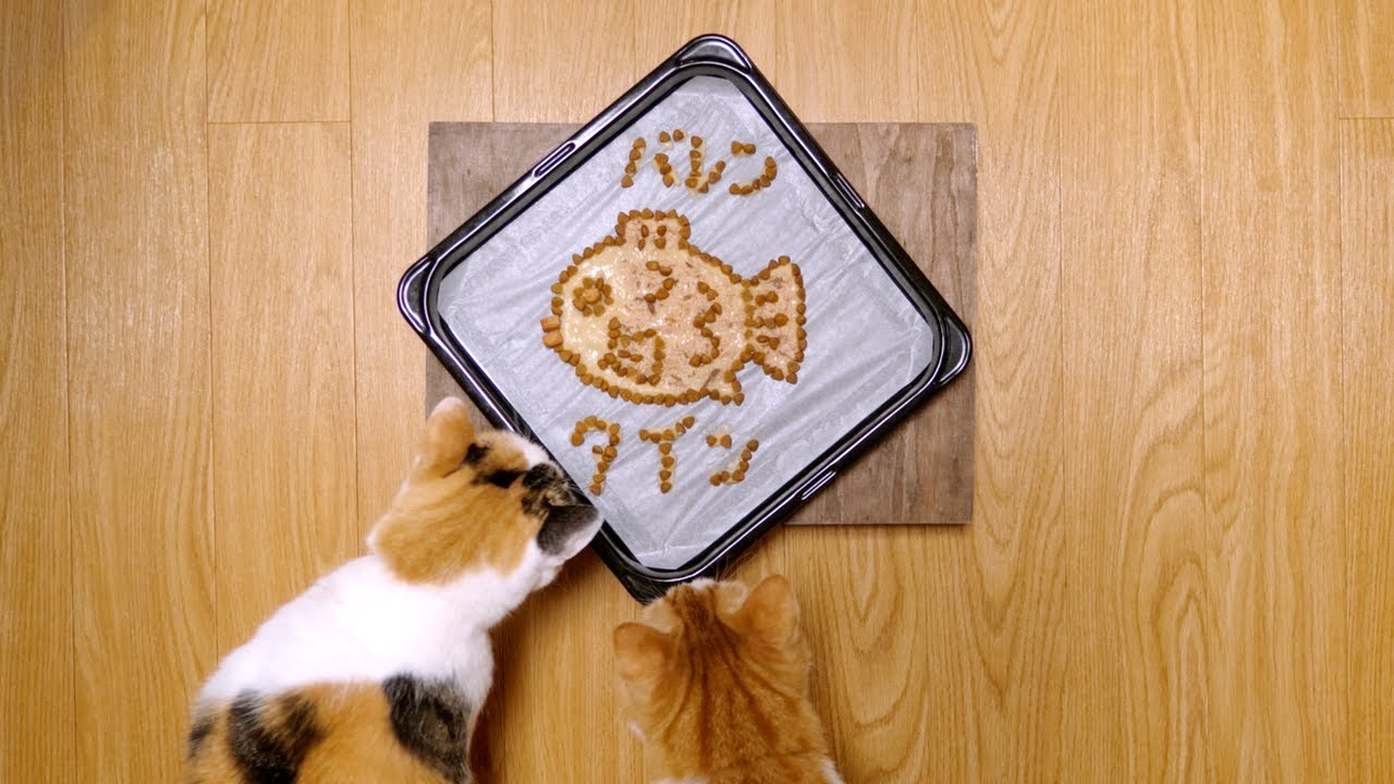 日本猫のバレンタインデー