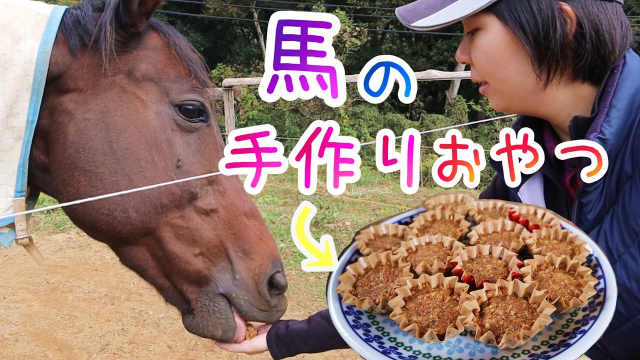 馬のおやつ手作りしてみた！～Yuri's Kitchin～