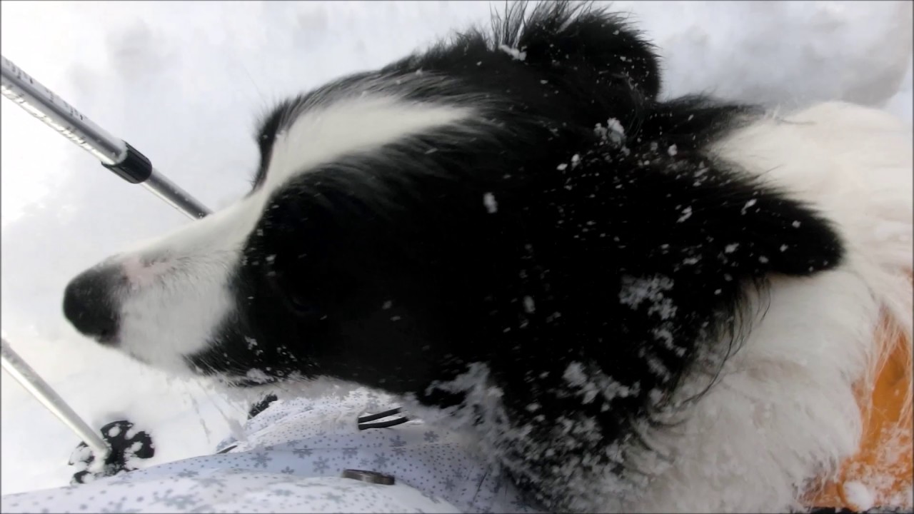 2017スノーシュートレッキング