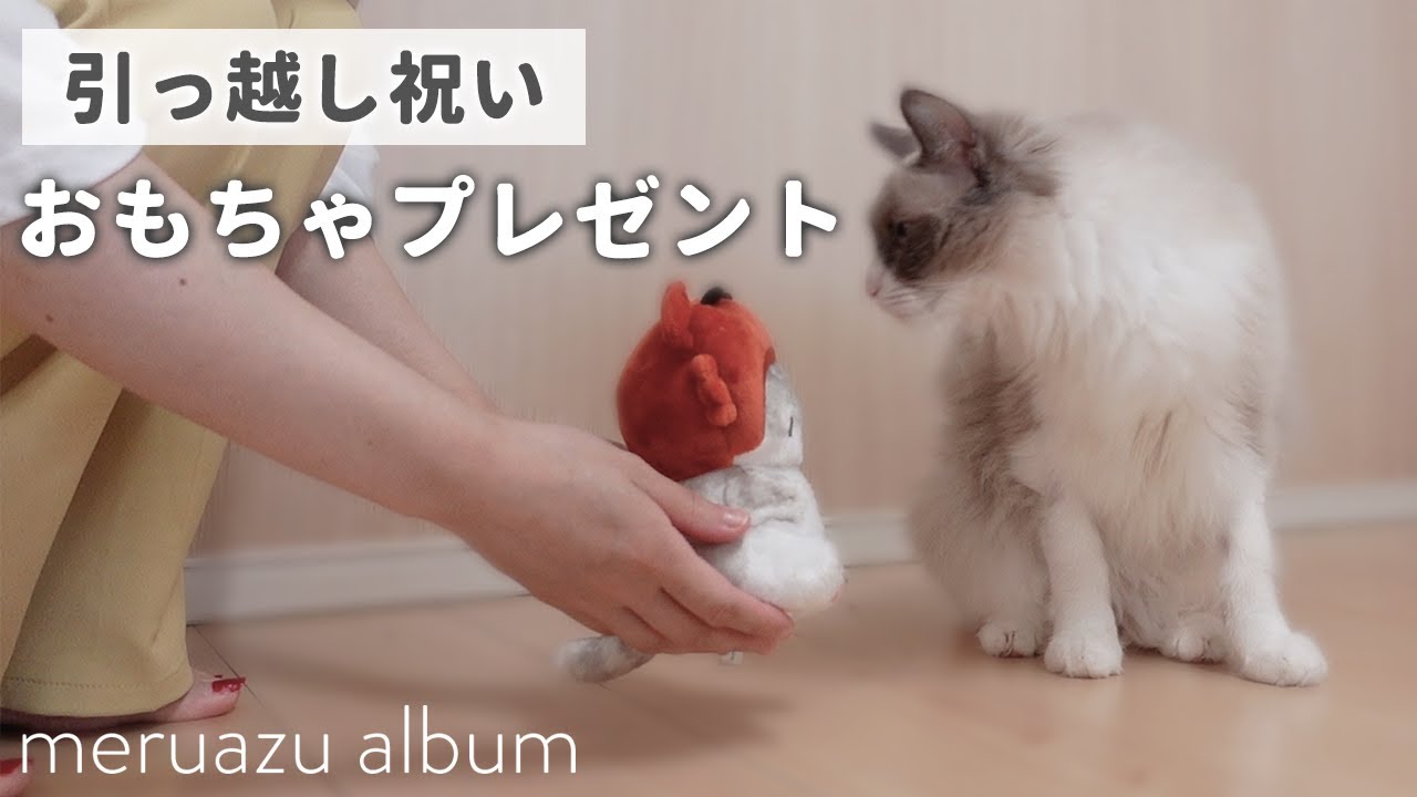 引っ越し祝いにかわいいおもちゃをもらった猫の反応がこちらです…
