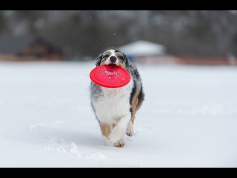 2021 2 5 スノーシューツアー＠マキノ高原
