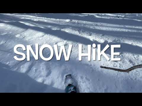 スノーシュー　『snow hiking』　雪が降り積もった山の中を犬と散歩