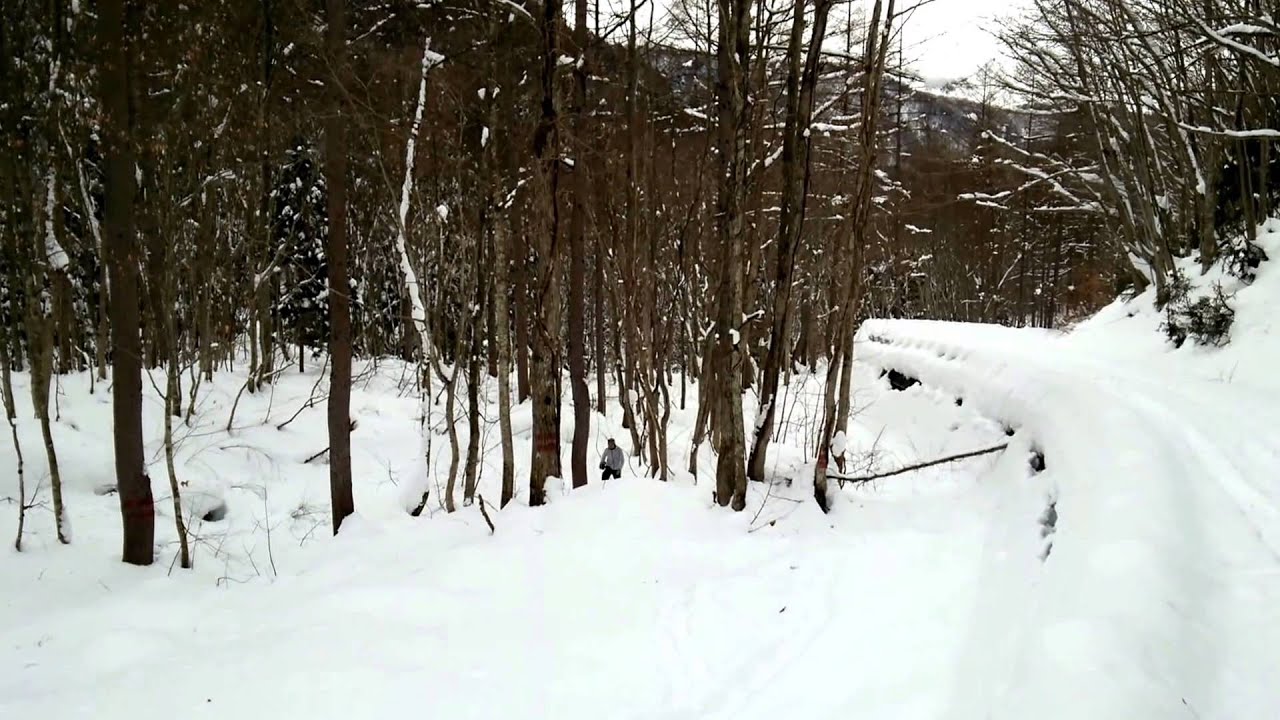 犬とスノーシュー