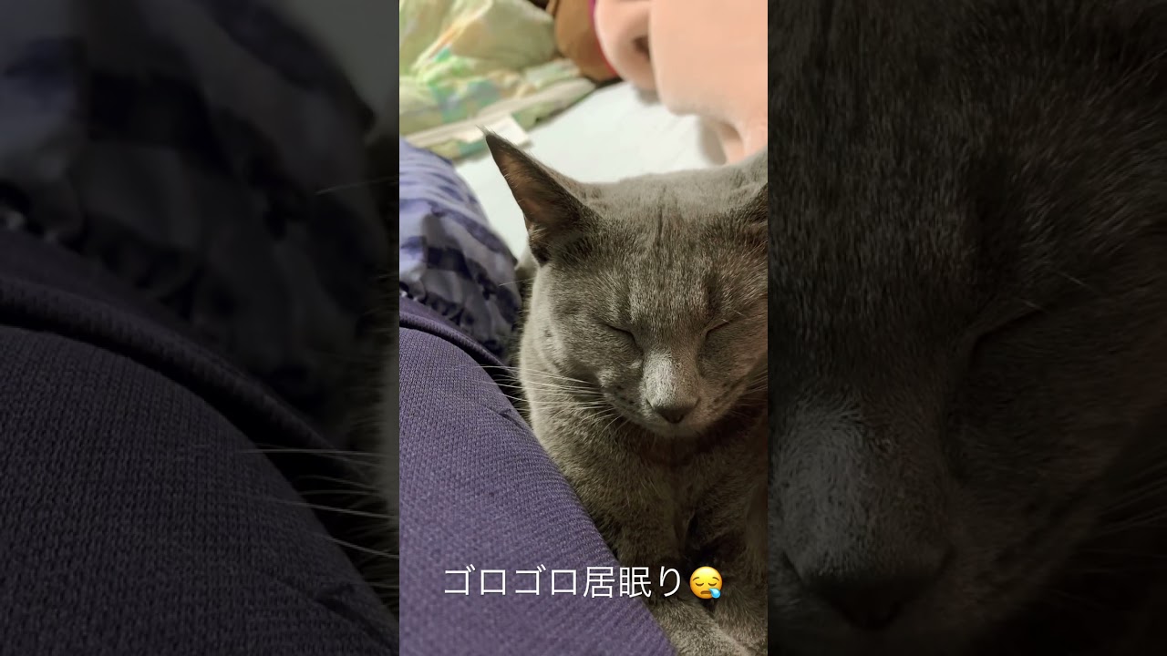 ゴロゴロ居眠り😪