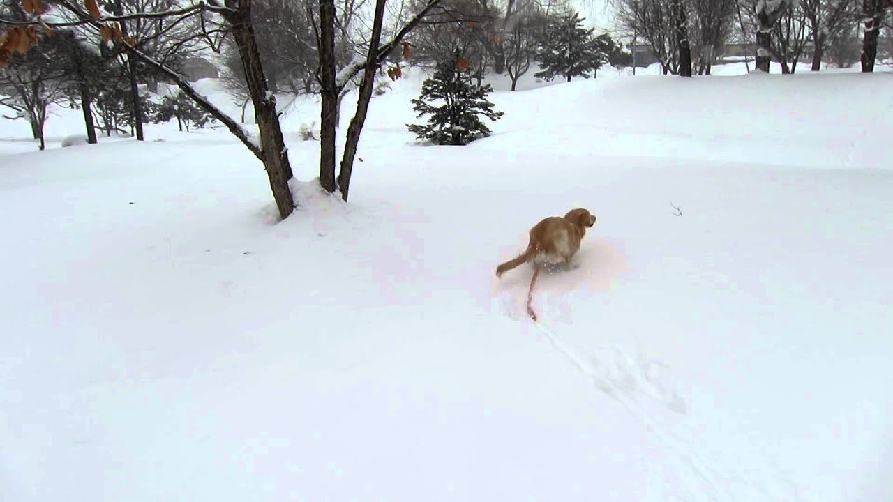 きらら☆スノーシューで公園散歩♪