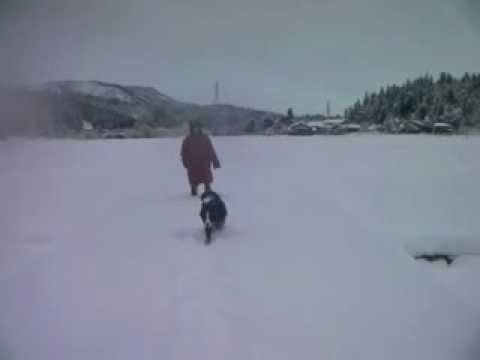 スノーシューを履いて