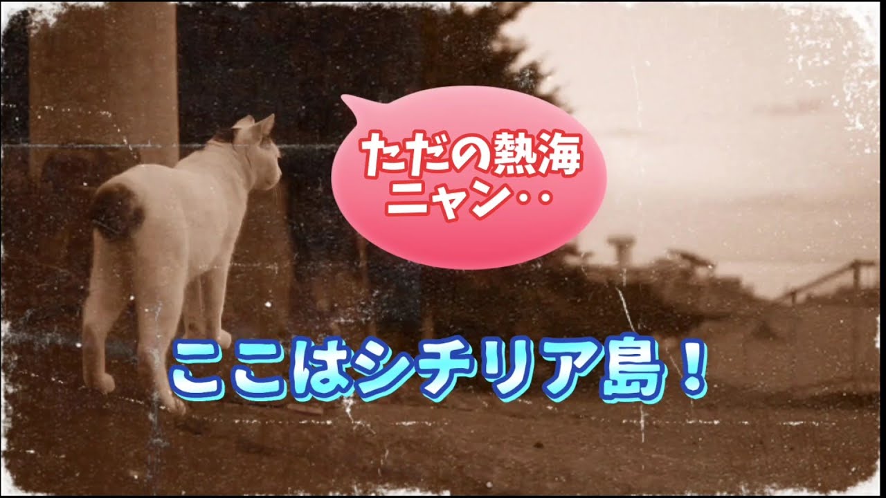 【さんぽねこのゆきちゃん】🎥ニュー・にゃんこ・パラダイス│ゆきちゃんと晩夏の思い出│熱海│伊豆│純粋で貴重な日本猫のゆきちゃん│稀に産まれてくる美しいジャパニーズ・ボブテイル│ここに永遠に保存します
