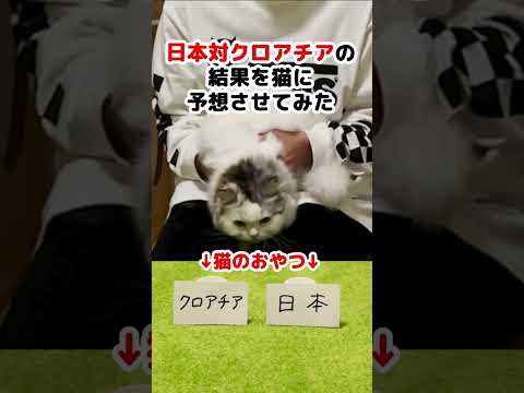 サッカーワールドカップ日本対クロアチア戦の勝敗予想がコチラ#Shorts