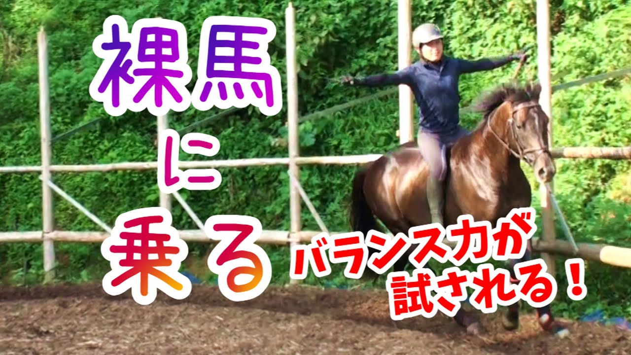 裸馬に乗る！ダンちゃんに鞍無しで乗ってみた