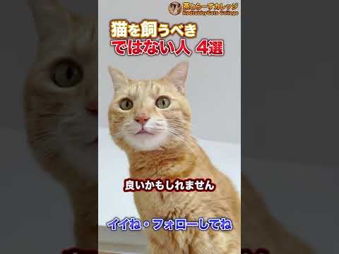 猫を飼うべきではない人4選 #Shorts