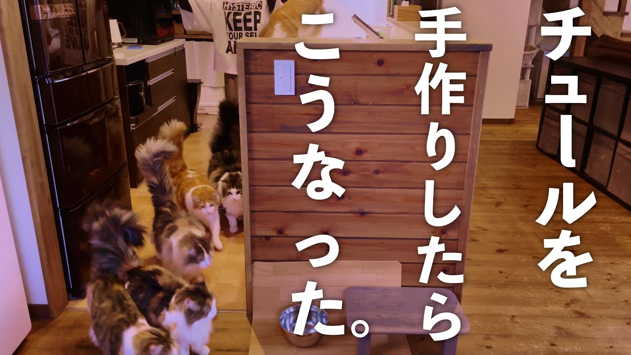 ６匹のノルウェージャンフォレストキャットにチュールを手作りしたら、こうなりました！