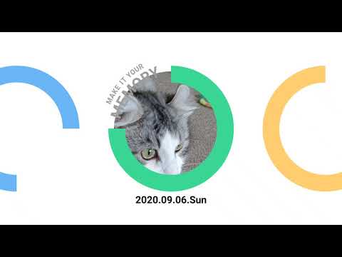 【ダイジェスト】元気なアメリカンカール