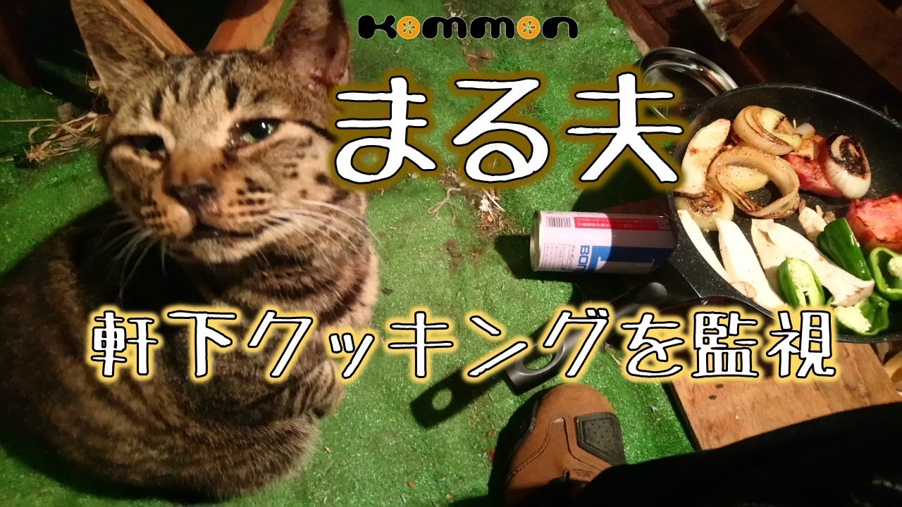 【猫動画】まる夫、軒下クッキングを監視