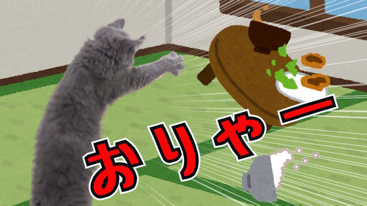 素直だった子猫がまさかの荒くれ者に⁉︎｜セルカークレックス｜ブリティッシュショートヘア