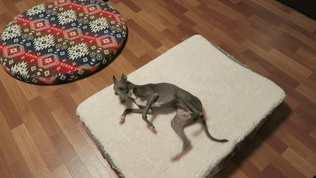 12 9 お風呂上り