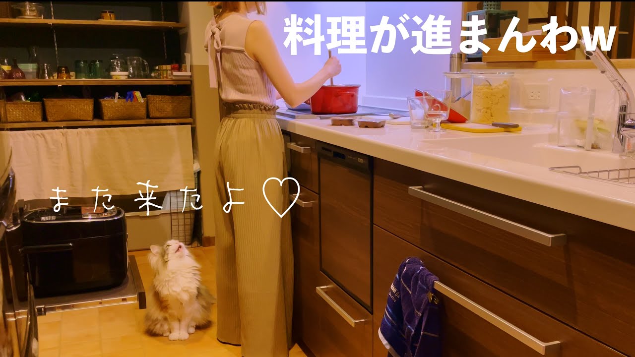 甘えん坊達が大集合するので困る…｜多頭飼いのリアルな夕飯作り｜ノルウェージャンフォレストキャット