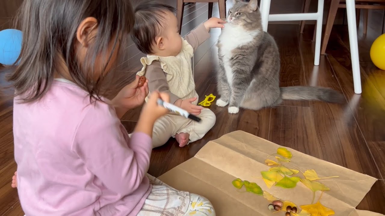 赤ちゃんと一緒に芸術の秋を感じる猫　ノルウェージャンフォレストキャット　A cat that feels the autumn of art with a baby