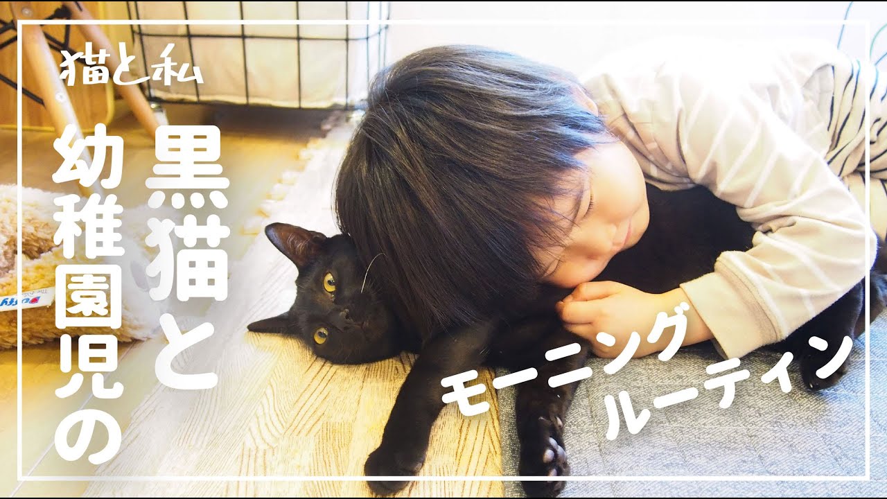 【日本猫】黒猫と5歳息子のゴールデンウィーク【猫と暮らす家】