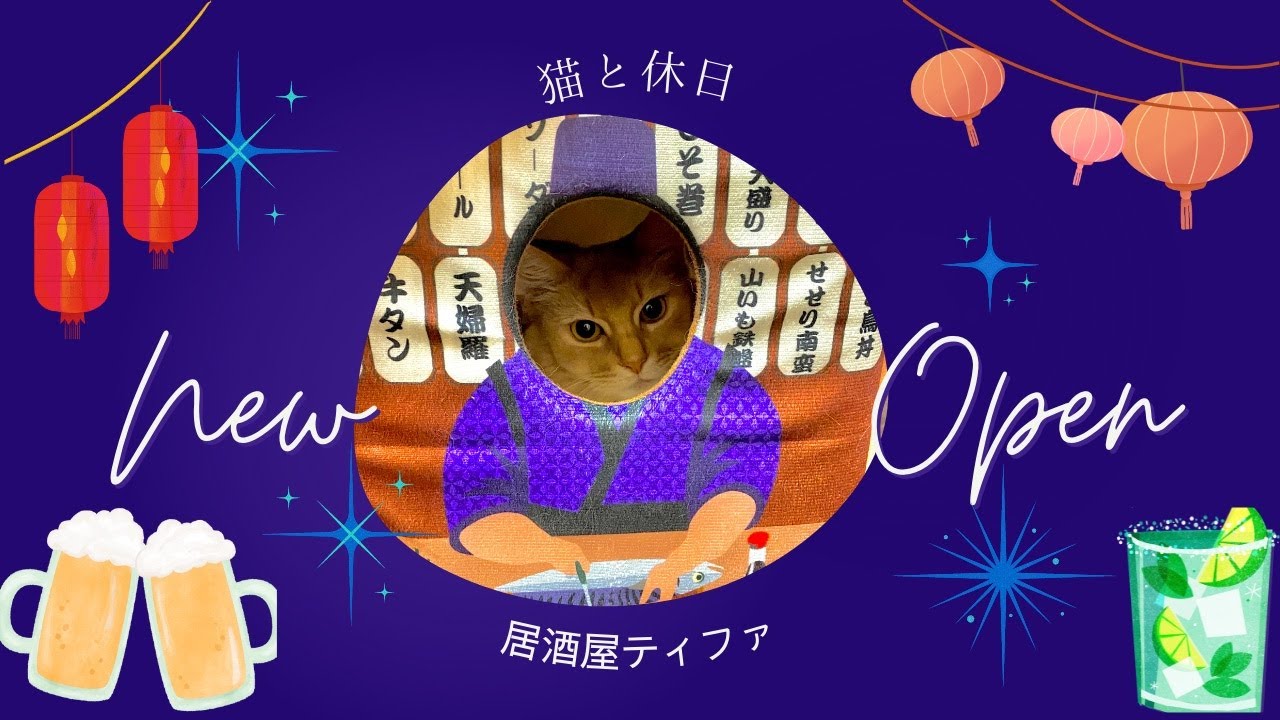 居酒屋ティファopen 🍻#猫#ソマリ#居酒屋#猫ハウス