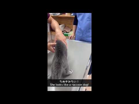 2回目の動物病院へ。