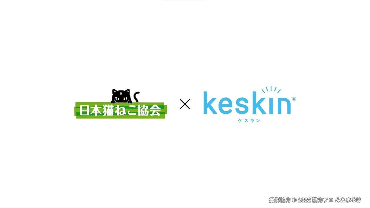 日本猫ねこ協会 × keskin エアゾール