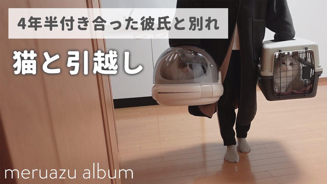 ラグドール猫2匹と一緒に引越しました