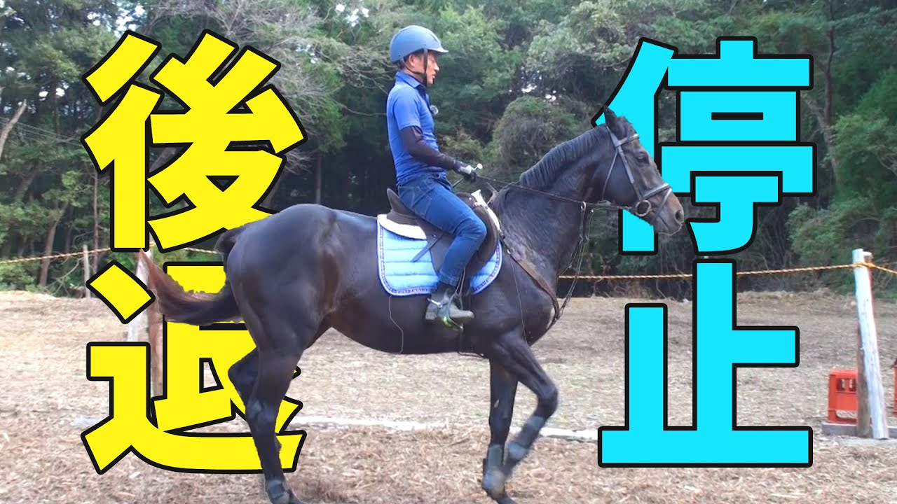 停止・後退をやってみよう！