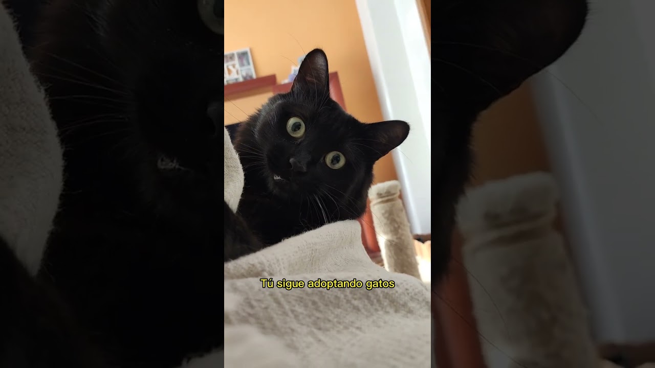 Así te convertirás en Karen