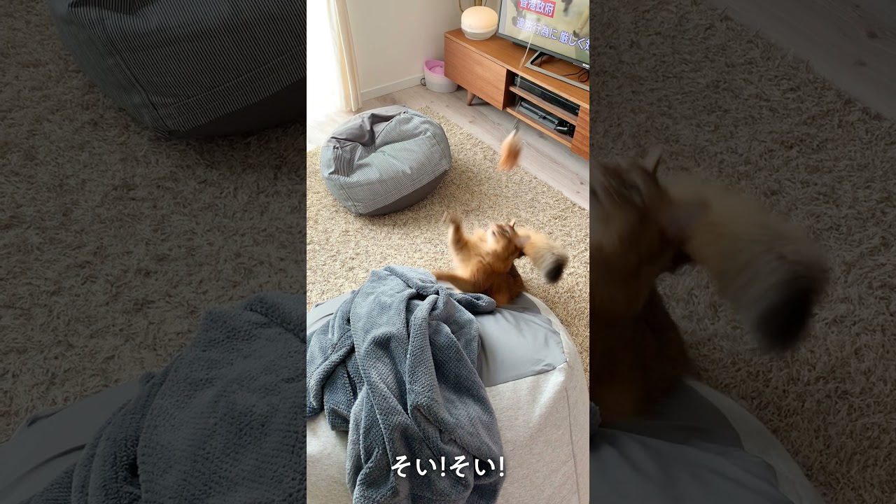 #150突破！　ハッスルしすぎて強烈な着地失敗するソマリ